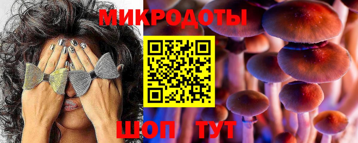 Знаменск  Псилоцибиновые грибы мицелий  Вход с VPN  Псилоцибиновые грибы MAGIC MUSHROOMS 