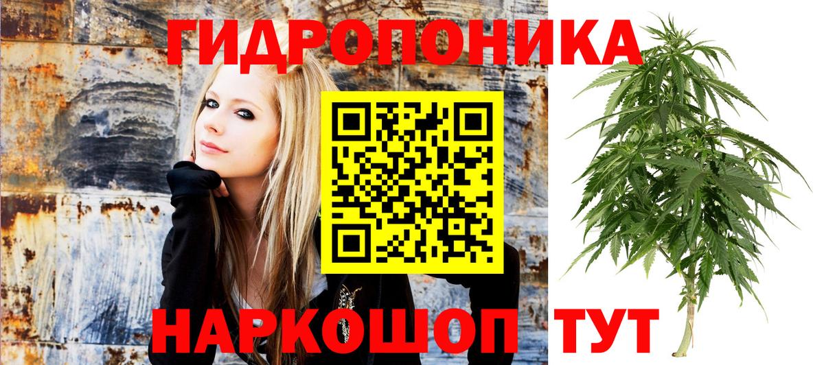 Бошки Шишки конопля  Вход с VPN  Знаменск  Конопля планчик  Конопля семена 